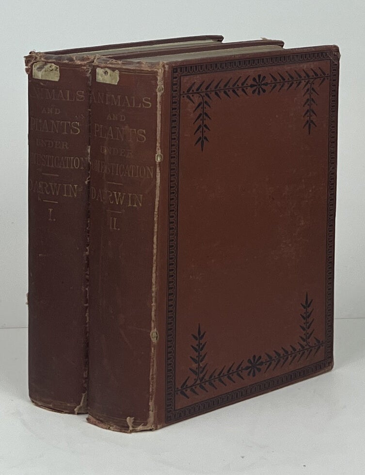 Item #16960 The Descent of Man and Selection in Relation to Sex. Charles Darwin.